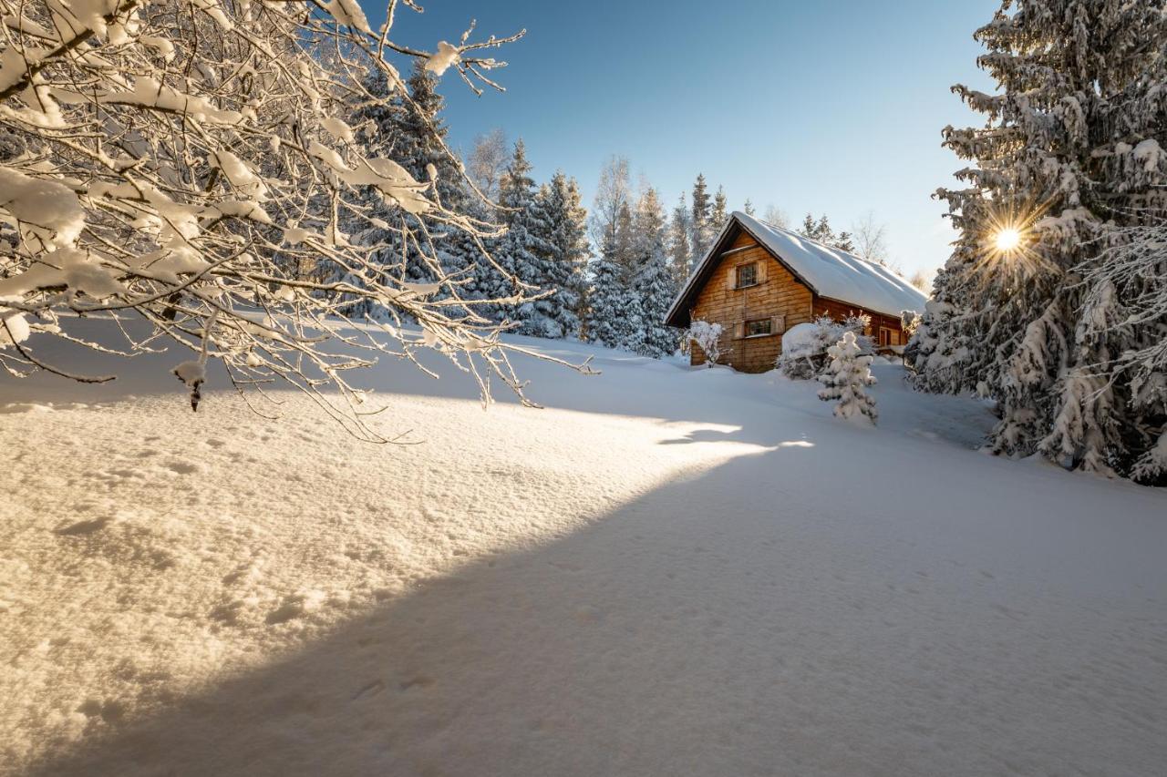 Casa vacanze Jarzebata