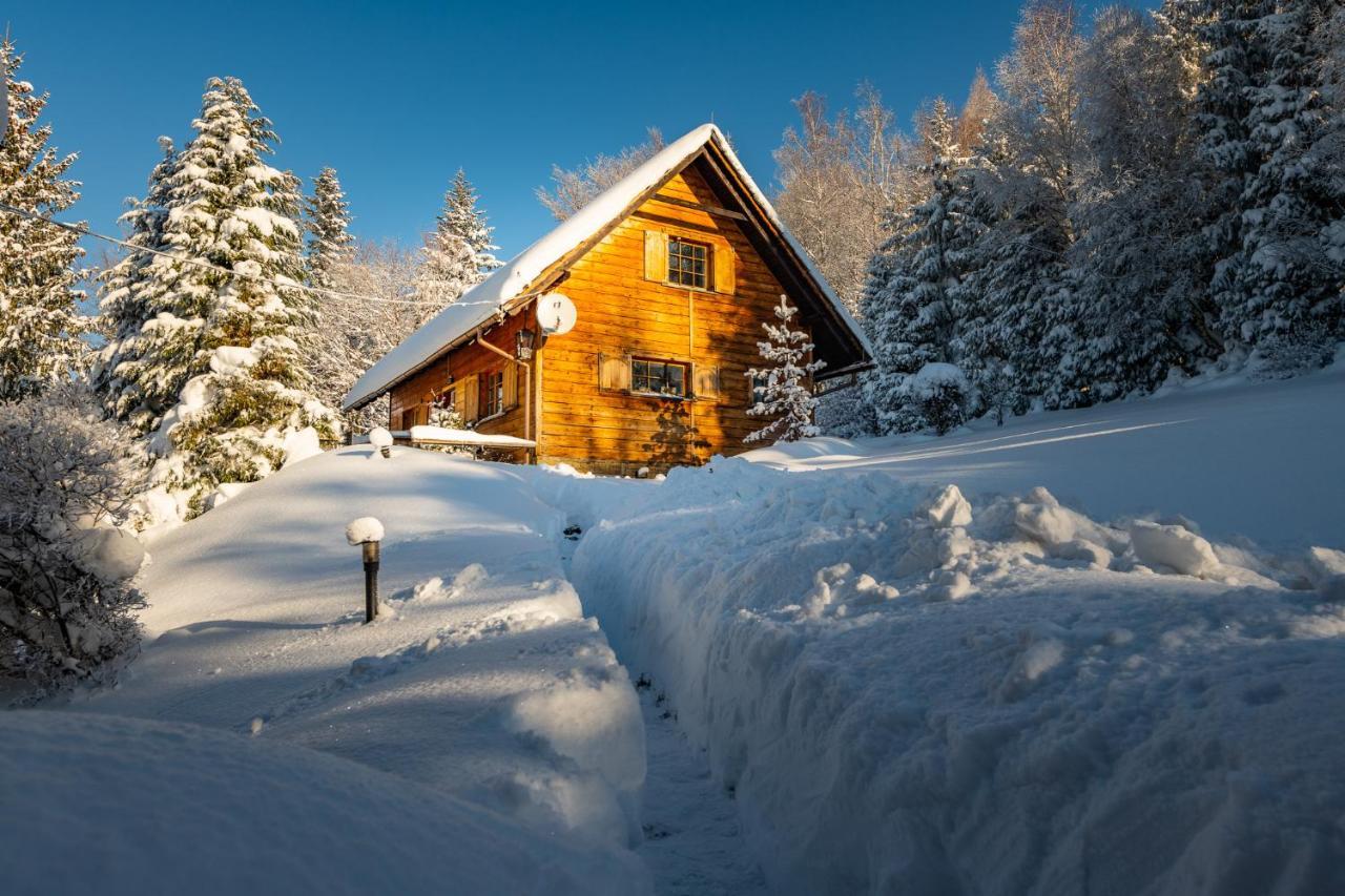 Jarzebata Holiday home