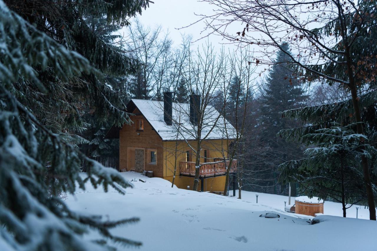 Jarzebata Holiday home Wisla
